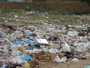Seattle's Ban on Plastic and Styrofoam