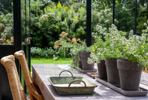 Orangery