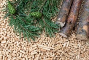 Biomass Boilers