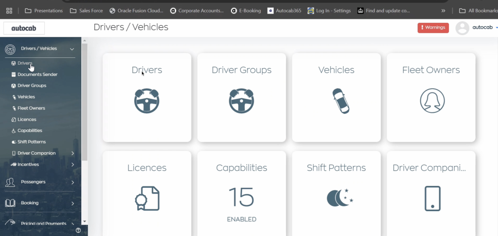 Dashboard showing drivers, vehicles, licences, and fleet owners