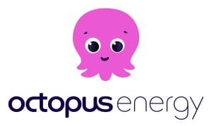 Octopus Energy Solar Review: Pricing, Tariffs & Installation
